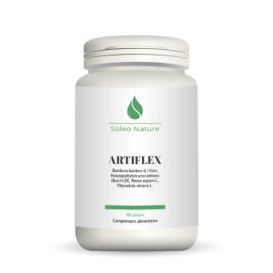 ARTIFLEX - 100 gélules