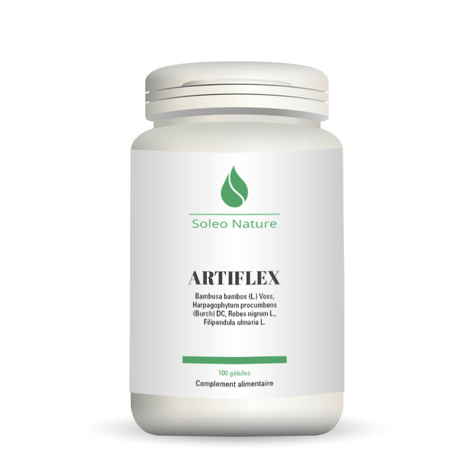 ARTIFLEX - 100 gélules